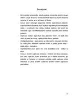 Prakses atskaite 'Sabiedrība ar ierobežoto atbildību “EUROWOOD”', 27.