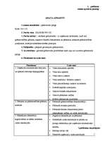 Prakses atskaite 'Sabiedrība ar ierobežoto atbildību “EUROWOOD”', 30.