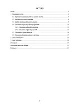 Referāts 'Ikdienas darbs ar dokumentiem', 2.