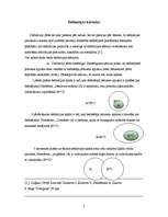 Referāts 'Jēdziena definēšana', 5.