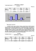 Referāts 'Publiskās akciju sabiedrības "Grindeks" finanšu rādītāju analīze', 19.