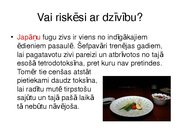 Prezentācija 'Pasaules valstu neparastākās ēšanas tradīcijas', 15.