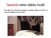 Prezentācija 'Pasaules valstu neparastākās ēšanas tradīcijas', 21.