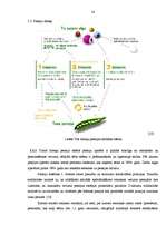 Referāts 'Pensiju sistēma Latvijā', 14.