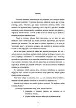 Referāts 'Terorisma jēdziena definēšanas problēmas', 3.