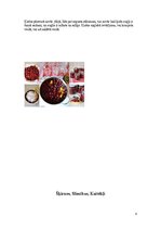 Prezentācija 'Saldie ķirši', 8.