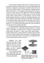 Referāts 'Ceļojumi laikā un telpā', 3.