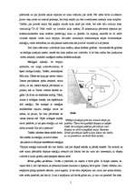 Referāts 'Ceļojumi laikā un telpā', 5.