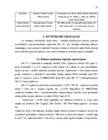 Diplomdarbs 'Krājumu uzskaites pilnveide mazumtirdzniecības uzņēmumā', 24.