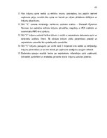 Diplomdarbs 'Krājumu uzskaites pilnveide mazumtirdzniecības uzņēmumā', 44.