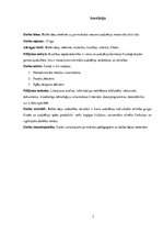 Referāts 'Balles deju ietekme uz pirmsskolas vecuma audzēkņu motorisko aktivitāti', 2.