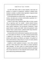 Eseja 'Organizācijas tipi: piramīda', 1.