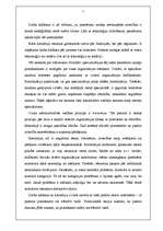 Eseja 'Organizācijas tipi: piramīda', 2.