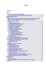 Referāts 'Sabiedrību ar ierobežotu atbildību dibināšana', 3.