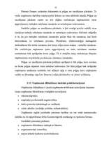 Referāts 'Sabiedrību ar ierobežotu atbildību dibināšana', 32.