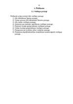 Referāts 'Sabiedrību ar ierobežotu atbildību dibināšana', 62.