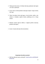 Referāts 'Salīdzinoši rādītāji par iedzīvotāju mūža ilgumu Latvijā un Zviedrijā', 13.