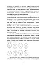 Eseja 'Es saskarsmē', 3.