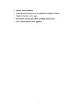 Eseja 'Es saskarsmē', 5.