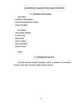 Biznesa plāns 'Biznesa plāns skaistumkopšanas salonam', 7.