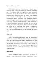 Referāts 'Sīpolu audzēšana', 1.