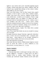 Referāts 'Sīpolu audzēšana', 4.