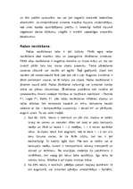 Referāts 'Sīpolu audzēšana', 7.