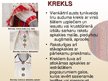 Prezentācija 'Tautas tērps Latgalē', 15.