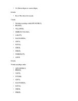 Prezentācija 'Tautas tērps Latgalē', 42.