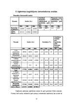 Prakses atskaite 'Laikraksta "X" finanšu analīze', 20.