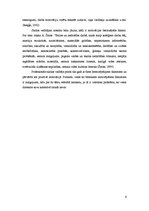 Referāts 'Pārveidojošās vadīšanas realizācijas iespējas izglītības iestādē', 9.