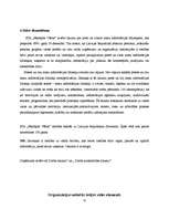 Referāts 'Organizācijas SIA "Jēkabpils Vēstis" menedžmenta vispārējā analīze', 11.