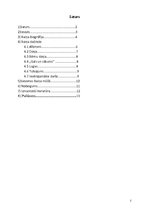 Referāts 'Rainis', 2.