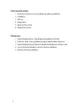 Referāts 'Ķīmiskie un dabīgie antibakteriālie līdzekļi', 7.