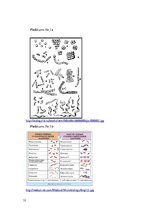 Referāts 'Ķīmiskie un dabīgie antibakteriālie līdzekļi', 32.