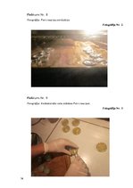 Referāts 'Ķīmiskie un dabīgie antibakteriālie līdzekļi', 36.