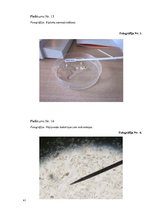 Referāts 'Ķīmiskie un dabīgie antibakteriālie līdzekļi', 41.