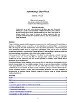 Referāts 'Automobiļu ceļu tīkli ', 1.