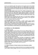 Referāts 'Automobiļu ceļu tīkli ', 4.