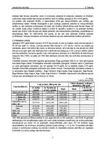 Referāts 'Automobiļu ceļu tīkli ', 5.