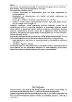 Referāts 'Hipotēka', 13.