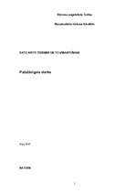 Konspekts 'Datu avoti tūrismā un to izmantošana', 1.