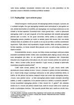 Diplomdarbs 'Kriminālsoda jēdziens un mērķi', 26.