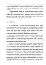 Diplomdarbs 'Kriminālsoda jēdziens un mērķi', 71.