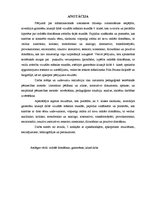 Diplomdarbs 'Māksliniecisko izteiksmes līdzekļu izmantošanas iespējas, atveidojot gaismēnu kl', 2.