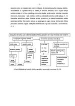 Diplomdarbs 'Māksliniecisko izteiksmes līdzekļu izmantošanas iespējas, atveidojot gaismēnu kl', 12.