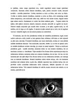 Diplomdarbs 'Māksliniecisko izteiksmes līdzekļu izmantošanas iespējas, atveidojot gaismēnu kl', 30.