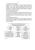 Diplomdarbs 'Māksliniecisko izteiksmes līdzekļu izmantošanas iespējas, atveidojot gaismēnu kl', 47.