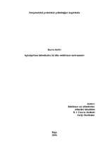 Referāts 'Apkalpošana lielveikalos kā tēlu veidošanas instruments', 1.