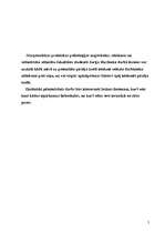 Referāts 'Apkalpošana lielveikalos kā tēlu veidošanas instruments', 2.